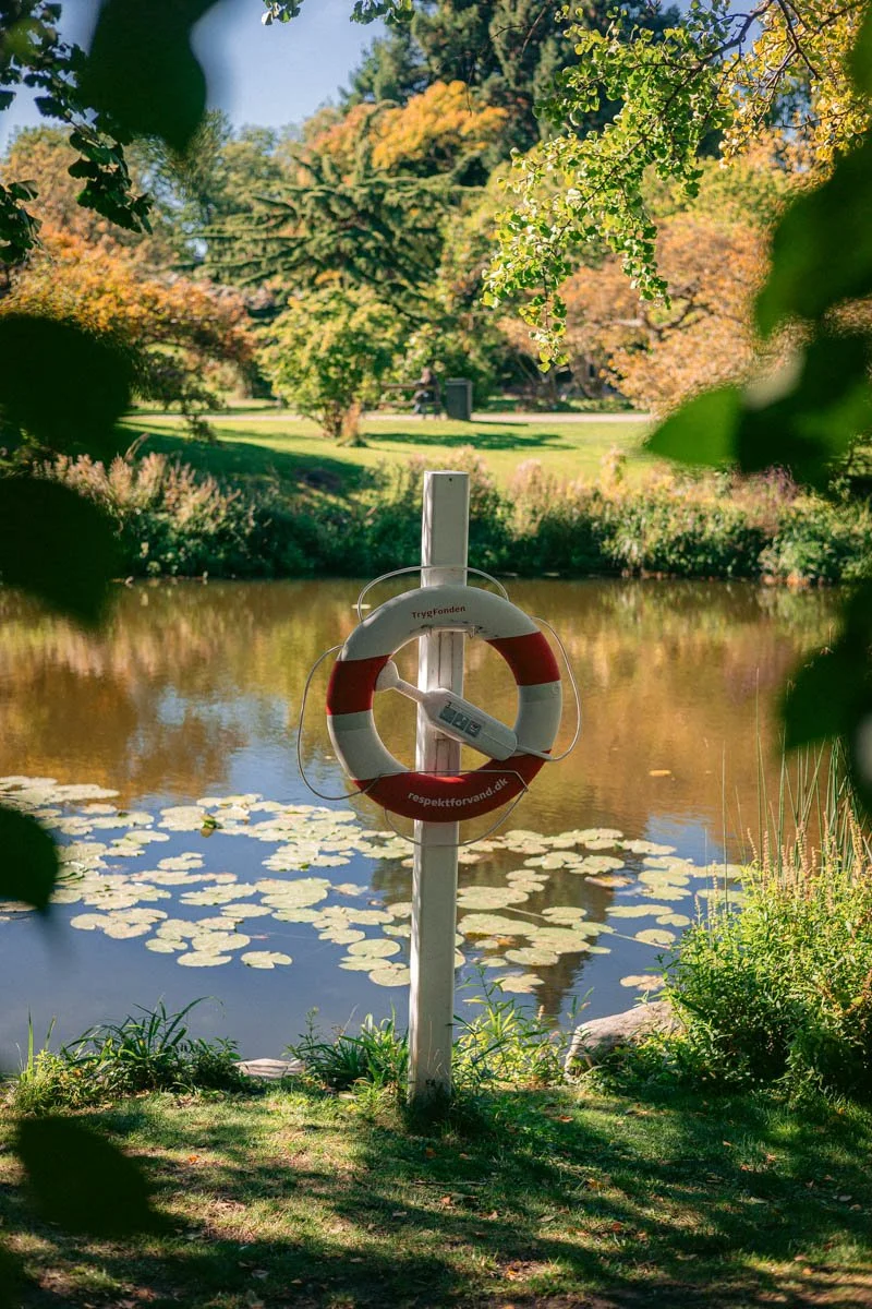 Photos jardins botaniques © Eleonore Wallet -26.jpg