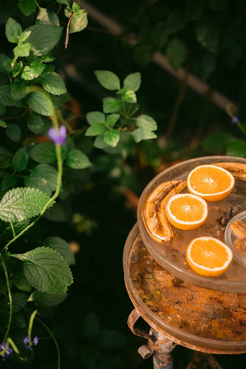 Photos jardins botaniques © Eleonore Wallet -21.jpg