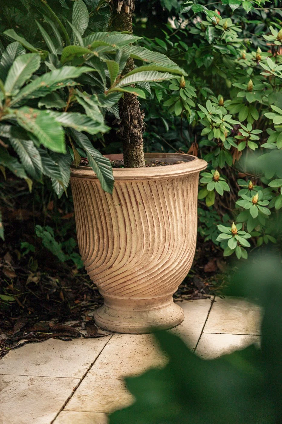 photo pot décor jardin luxe 