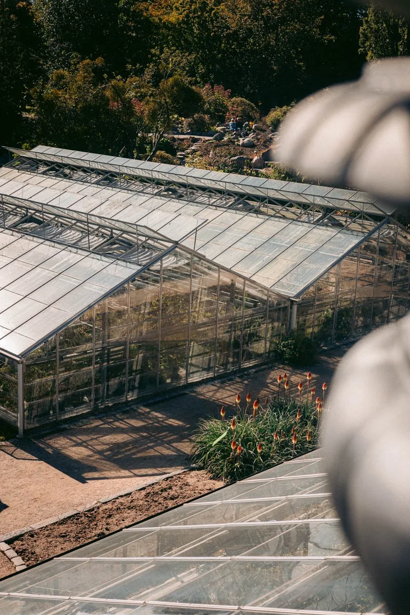 Photos jardins botaniques © Eleonore Wallet -12.jpg