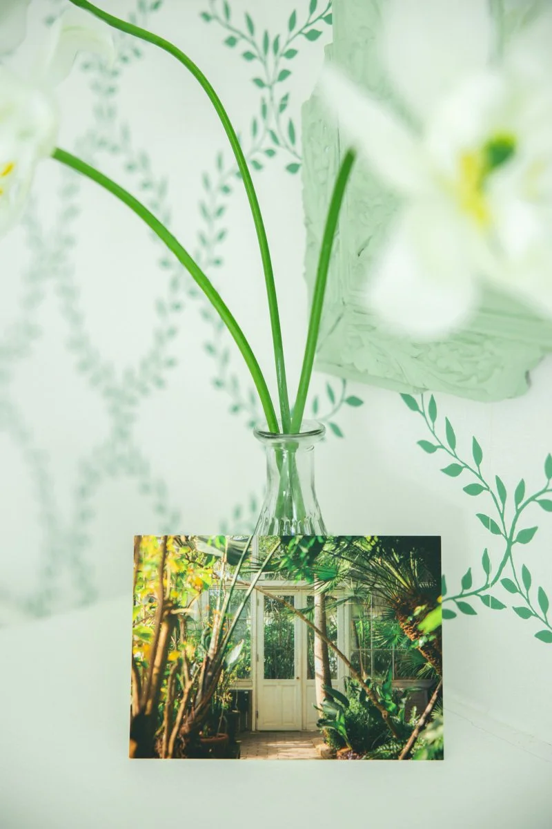 2604_photos lot CP © Eléonore Wallet -7.jpg