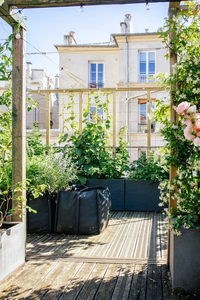 photogrpahe jardin paris 