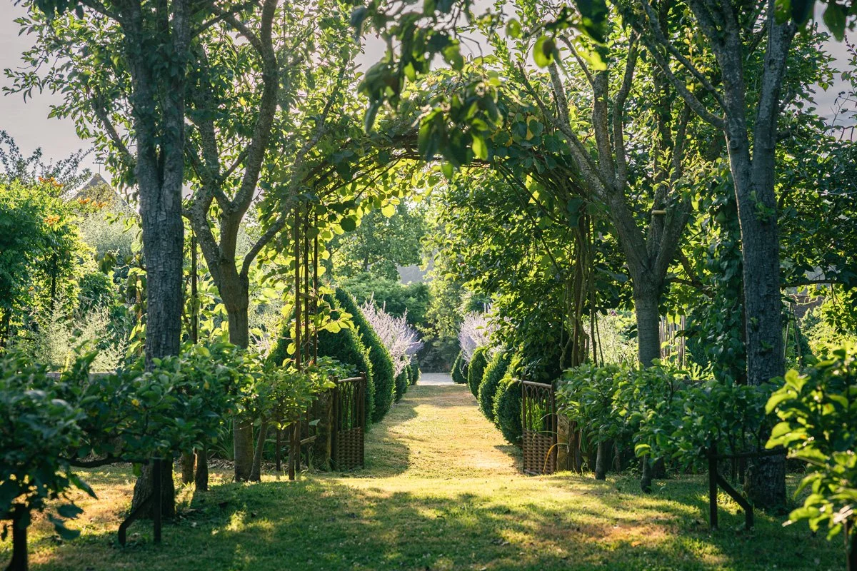 allee-montperthuis-photographe-jardin
