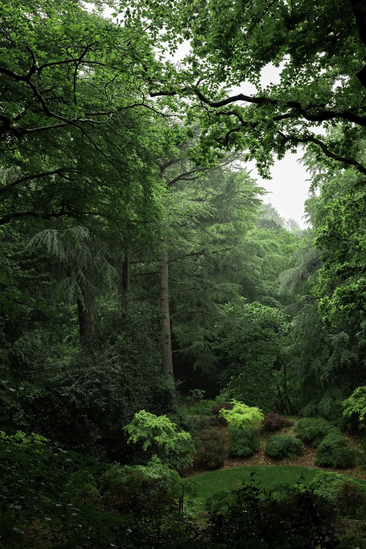 2506_Bois des Moustiers LD © Eléonore Wallet-20.jpg