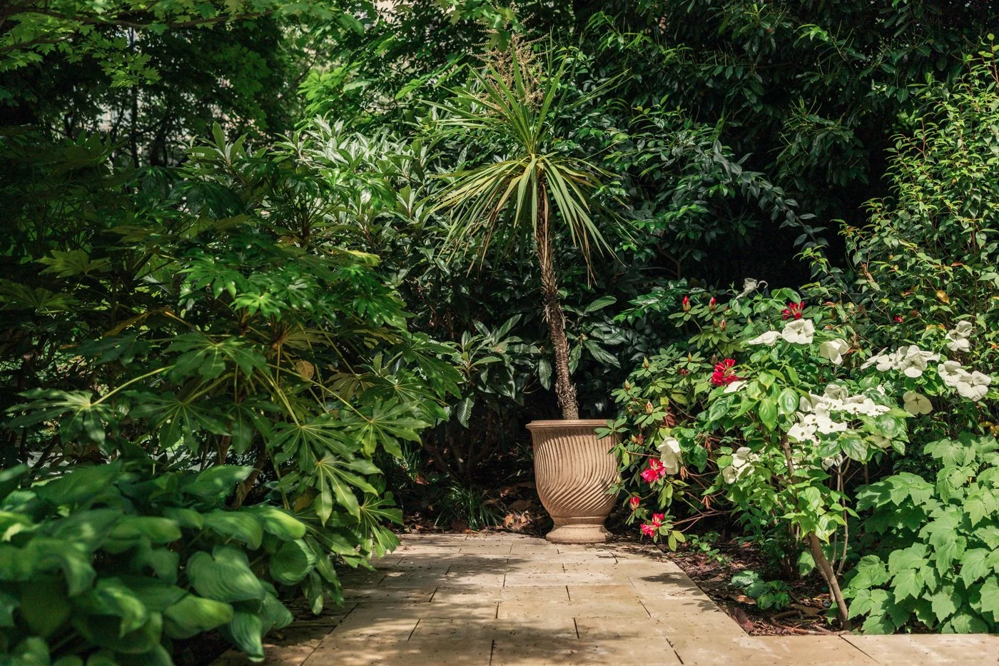 jardin paysagiste photo 