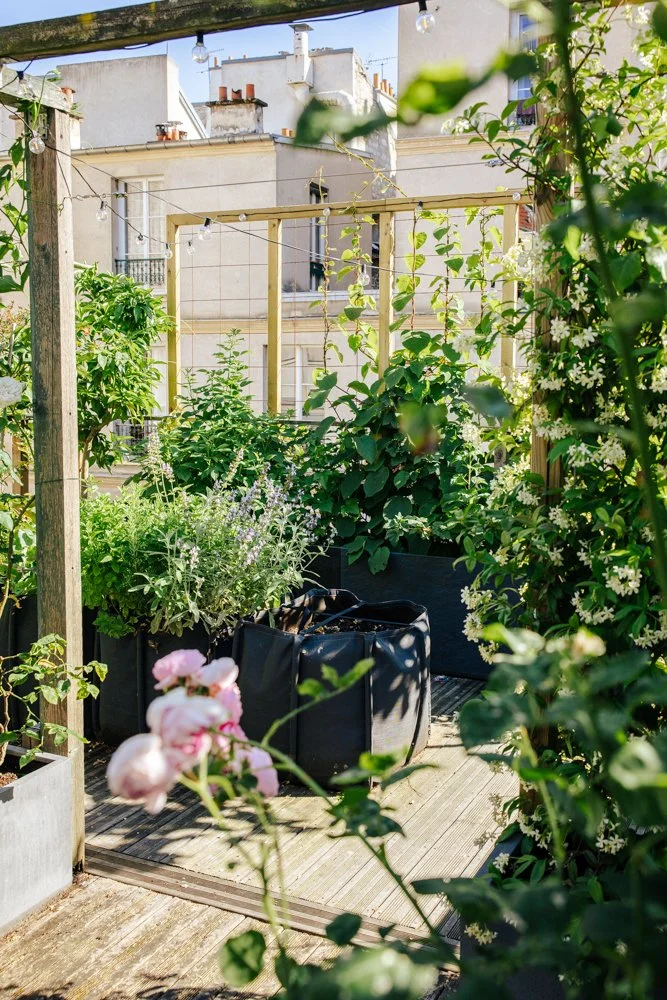 photograhpie terrasse 