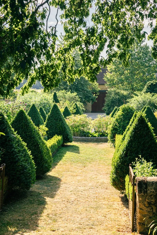 buis-montperthuis-photographe-jardin