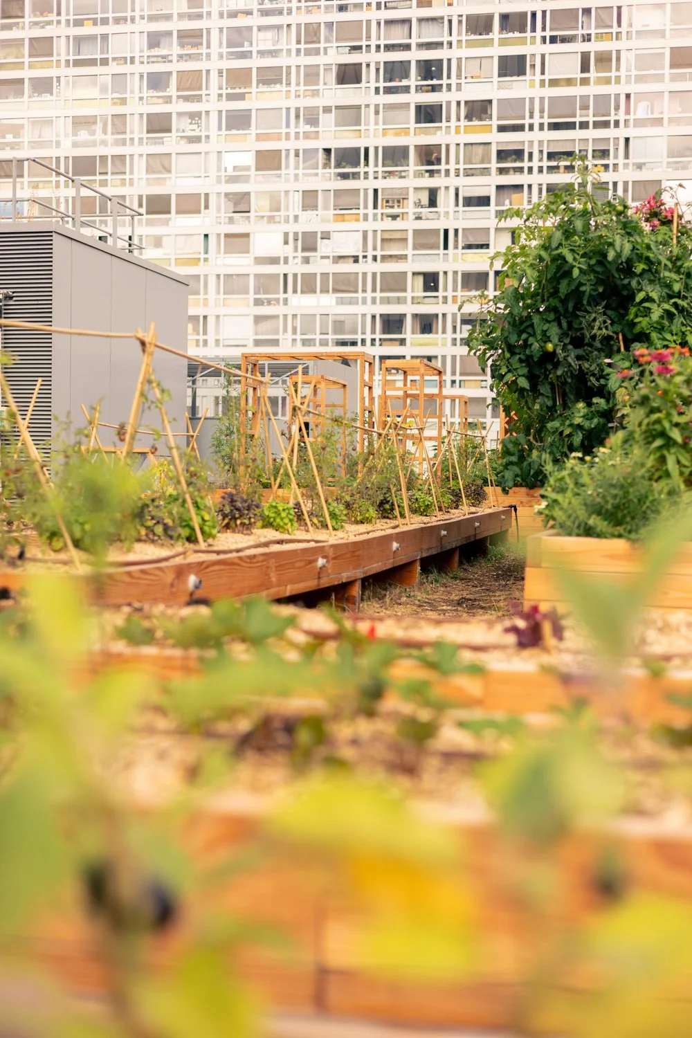 photographe jardin paris