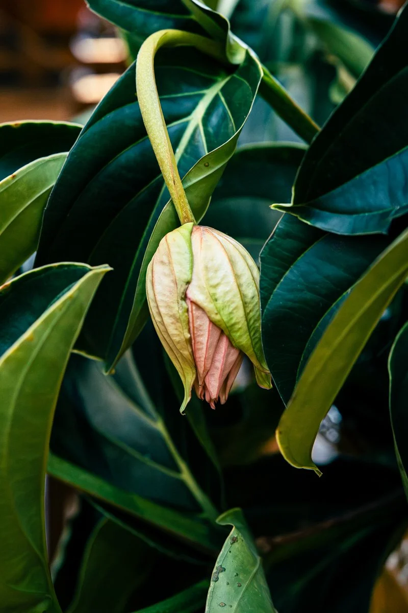 déco photographie paris 