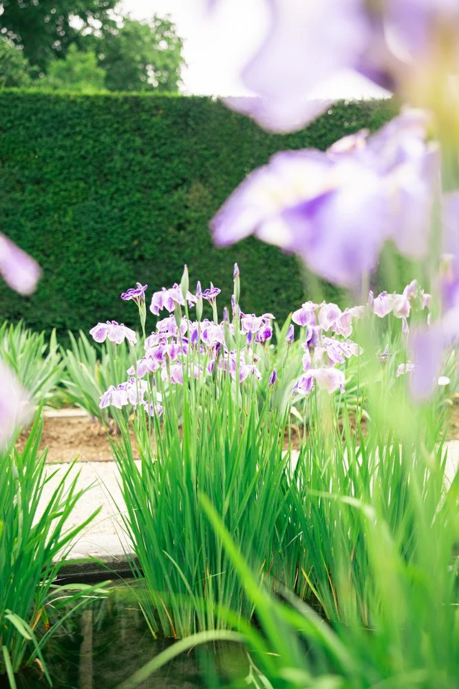 jardin d'eau bagatelle 