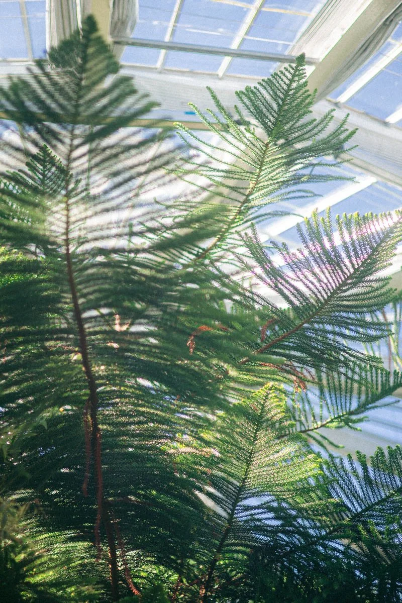 Photos jardins botaniques © Eleonore Wallet -15.jpg