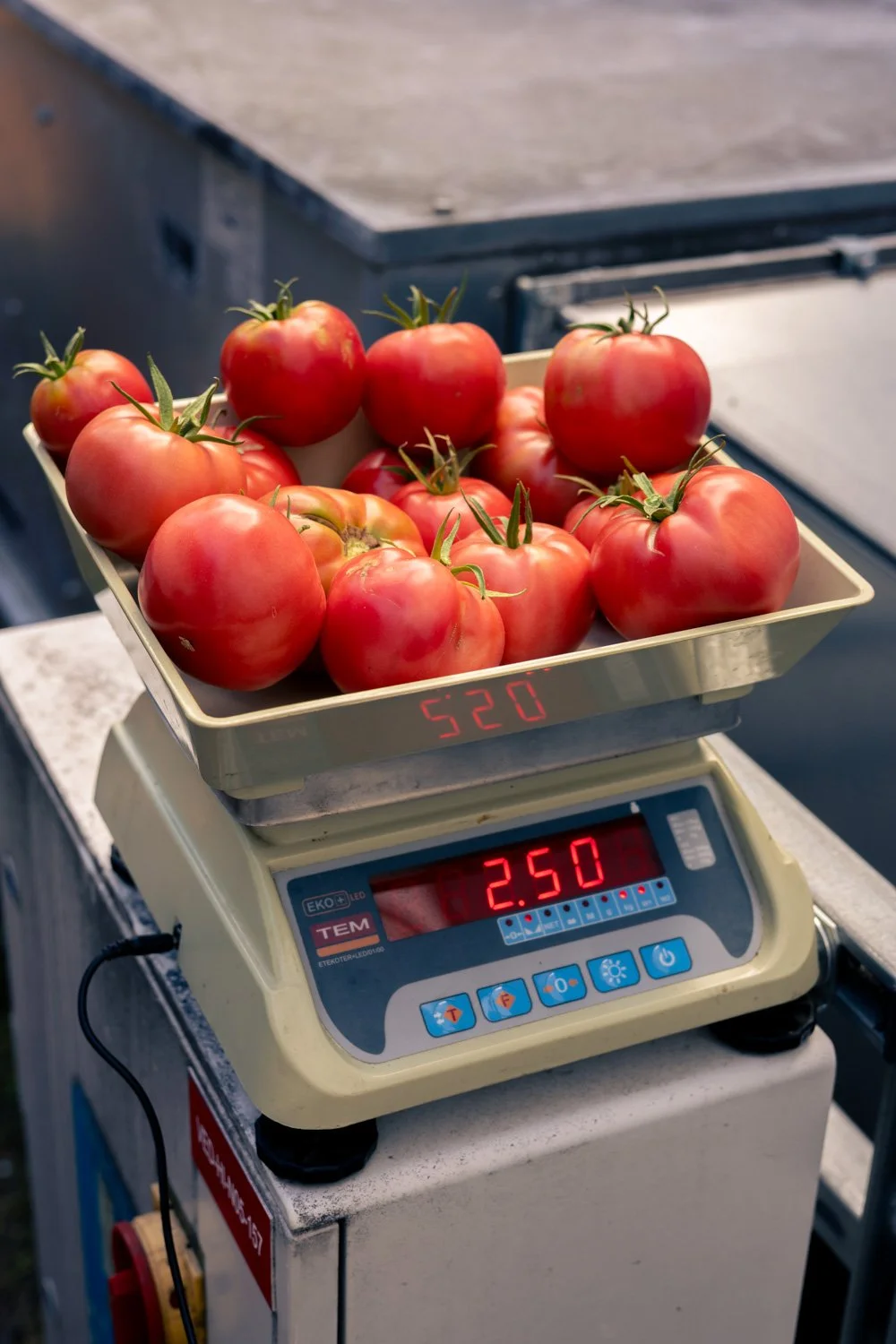 photographe légumes paris 