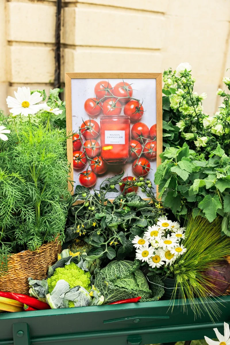 2505_photos Jardins jardin © Eleonore Wallet -03.jpg