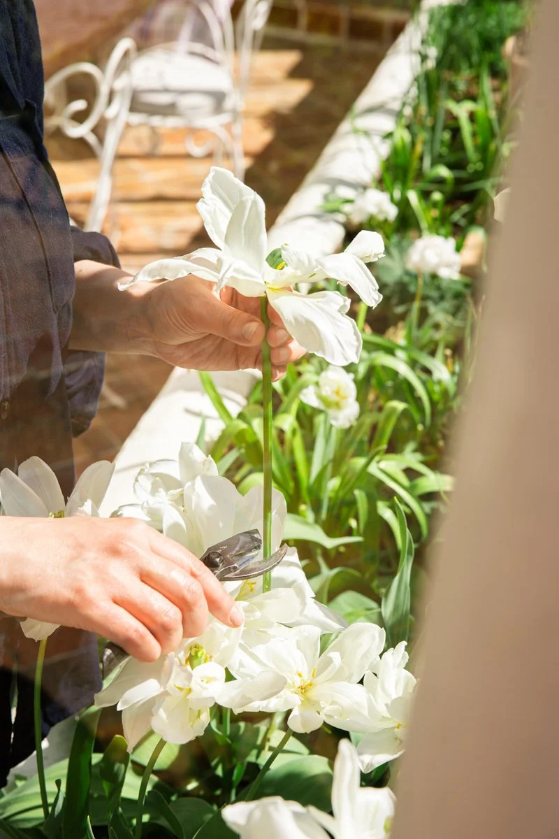 2604_Shooting Juliette jardinage © Eléonore Wallet -09.jpg