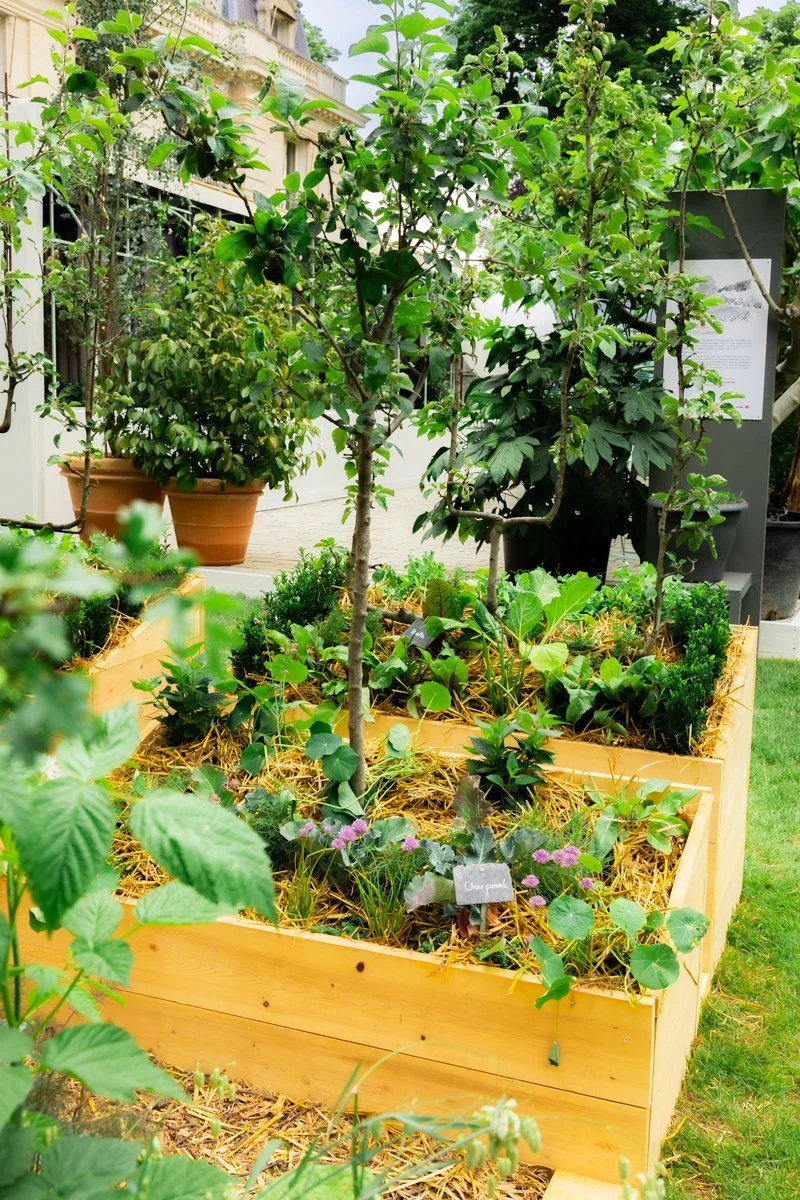 2505_photos Jardins jardin © Eleonore Wallet -16.jpg