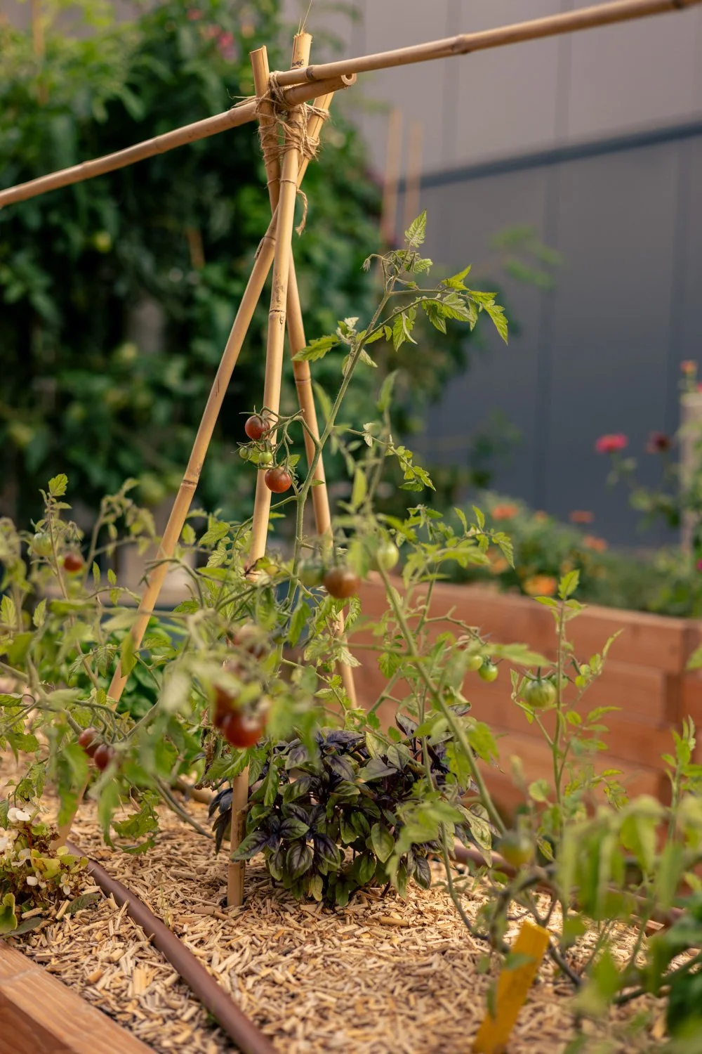 recolte jardin paris 