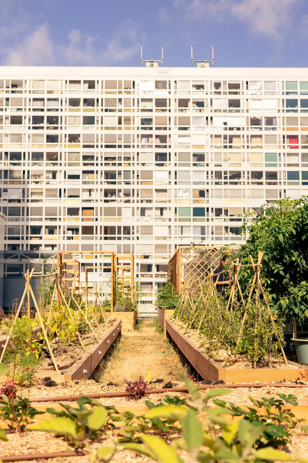 photographe fleurs paris 