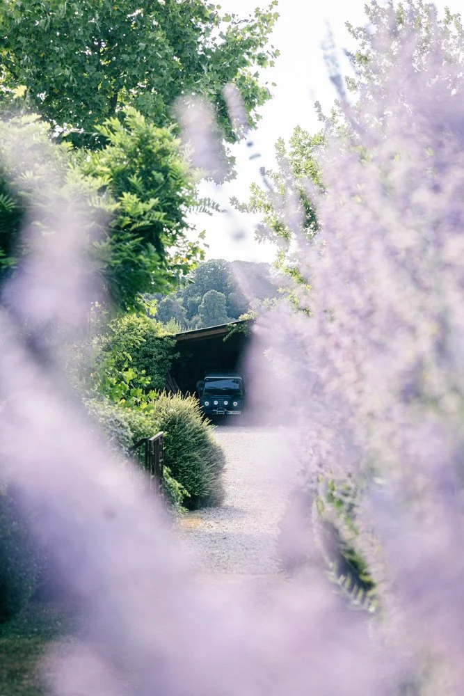 lavande-jeep-montperthuis-photographe-jardin