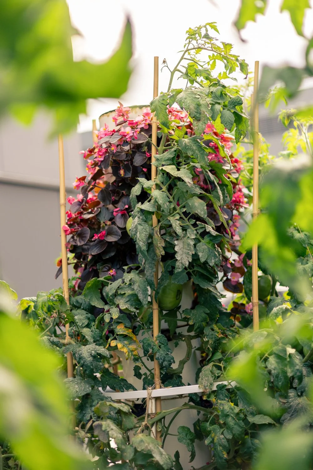 photographe jardin paris 