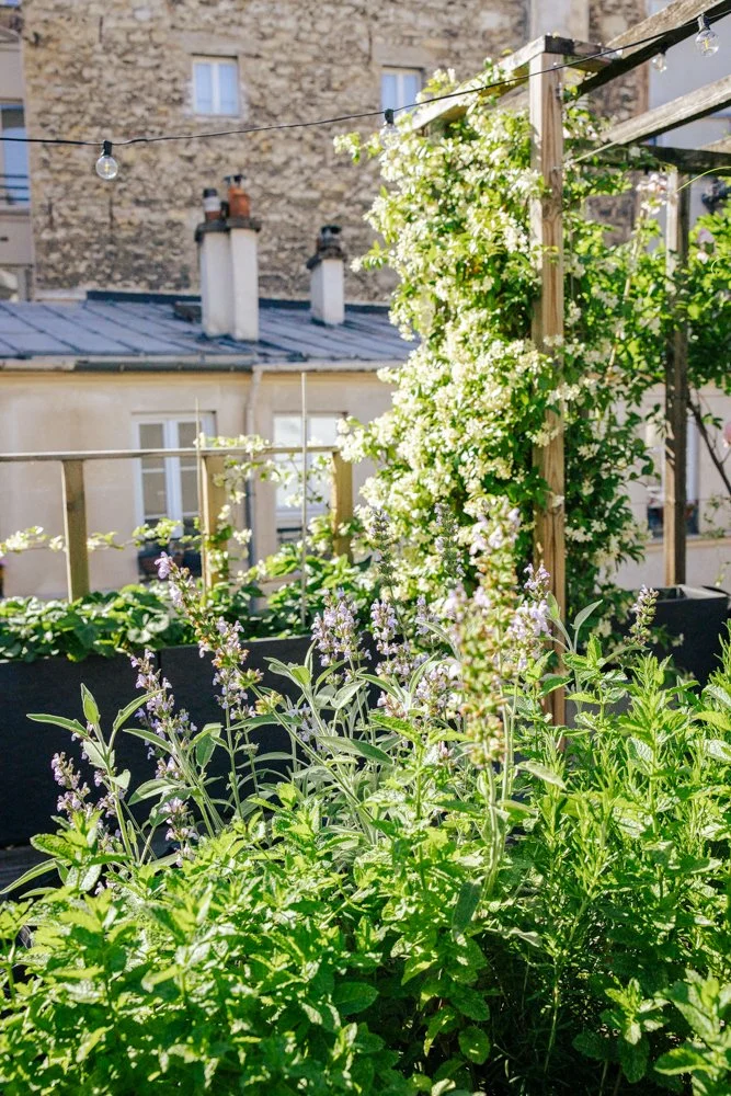 photographe paris jardin