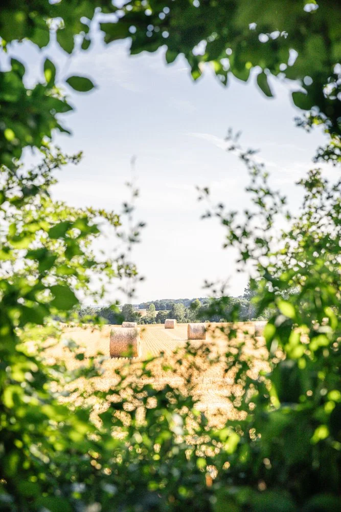 champ-campagne-montperthuis-photographe-jardin