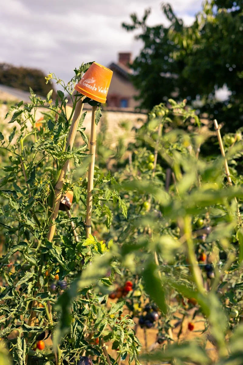 Photos jardins © Eleonore Wallet -07.jpg