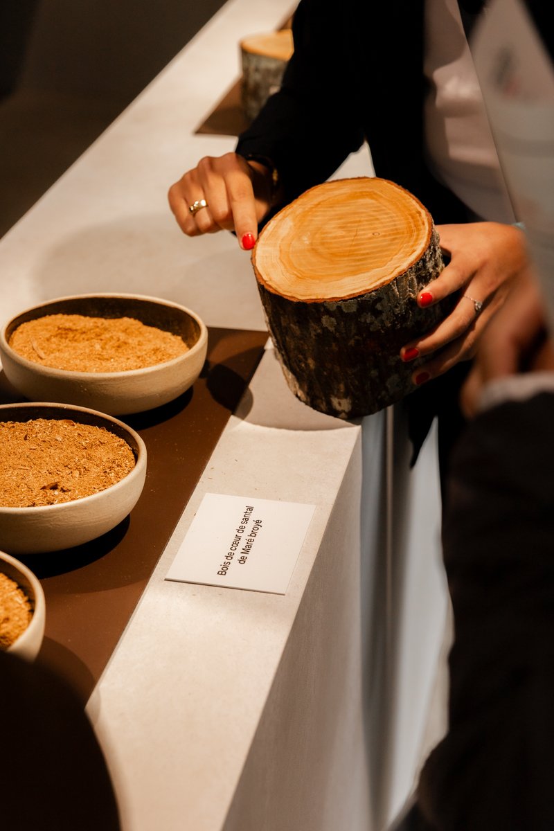 2505_photos Jardins jardin © Eleonore Wallet -11.jpg