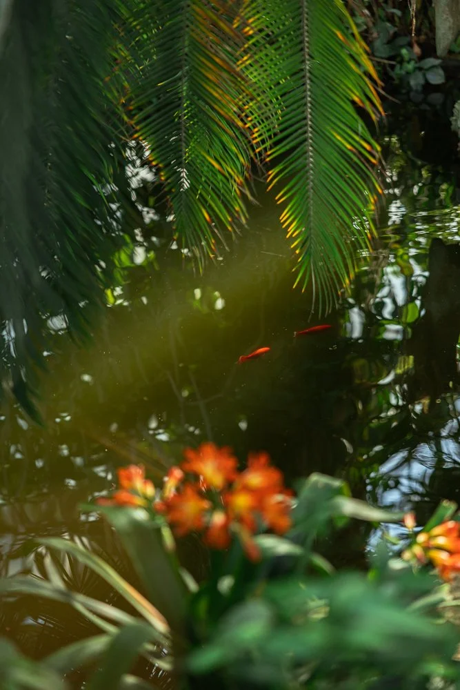 2603_Serres Auteuil © Eléonore Wallet .jpg