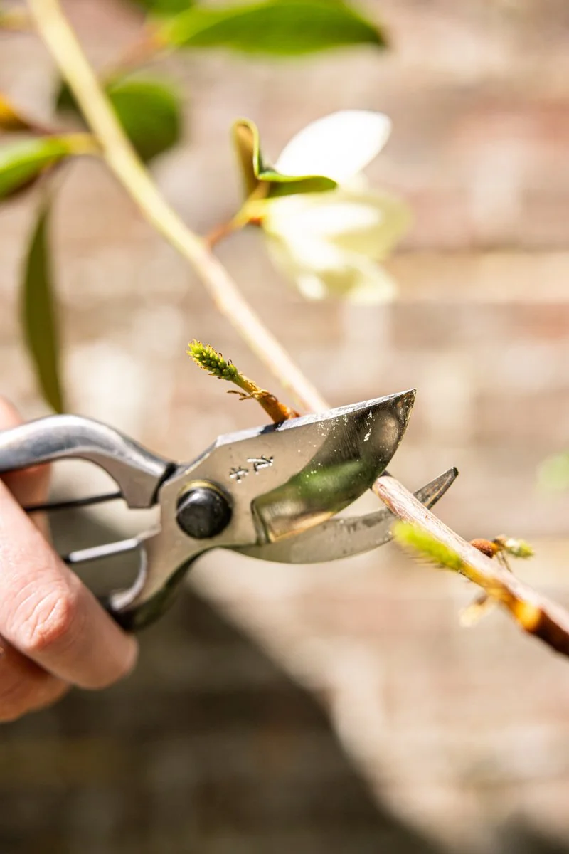 2604_Shooting Juliette jardinage © Eléonore Wallet -11.jpg