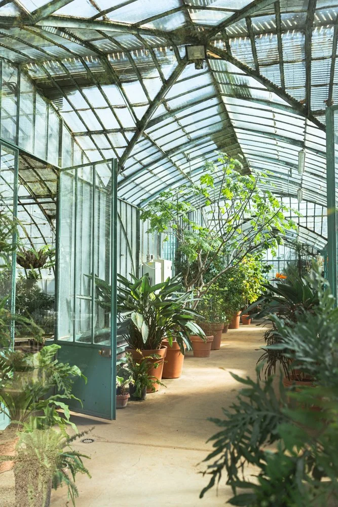 photo serres botanique 