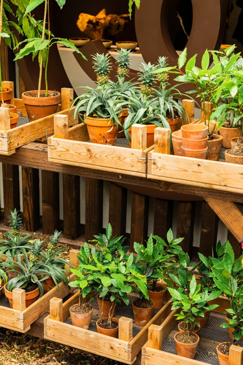 2505_photos Jardins jardin © Eleonore Wallet -09.jpg