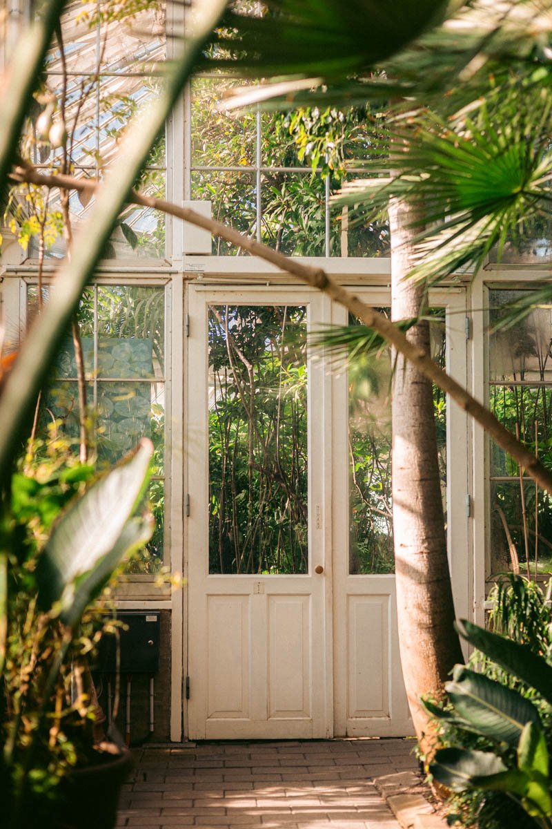 Photos jardins botaniques © Eleonore Wallet -11.jpg