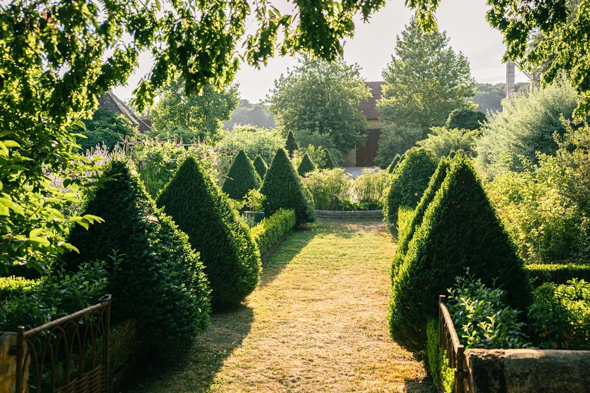 topiaire-photographe-jardin