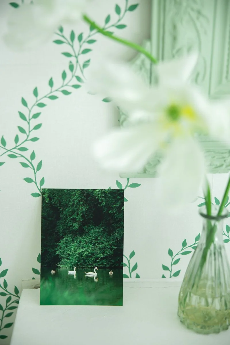 2604_photos lot CP © Eléonore Wallet -5.jpg