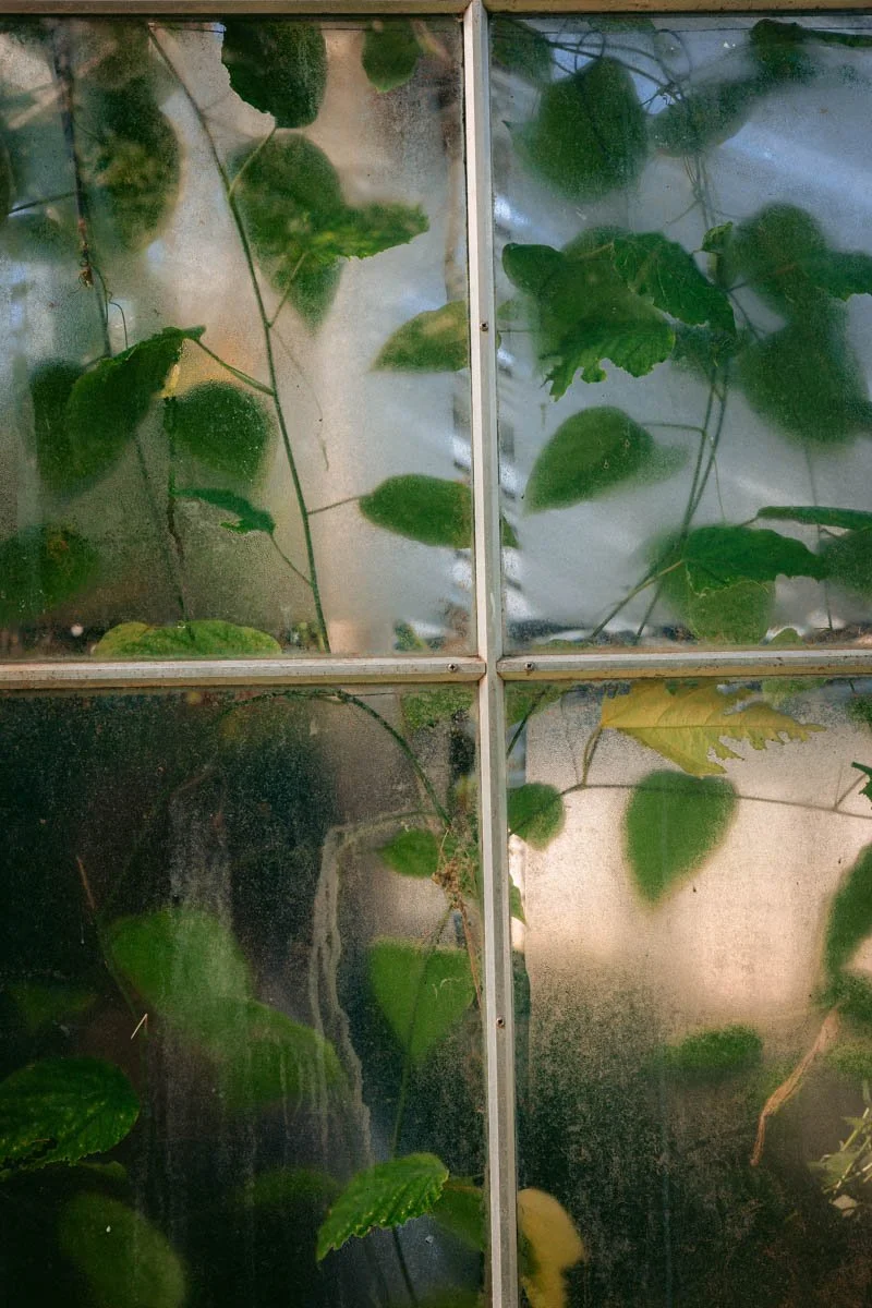 Photos jardins botaniques © Eleonore Wallet -09.jpg