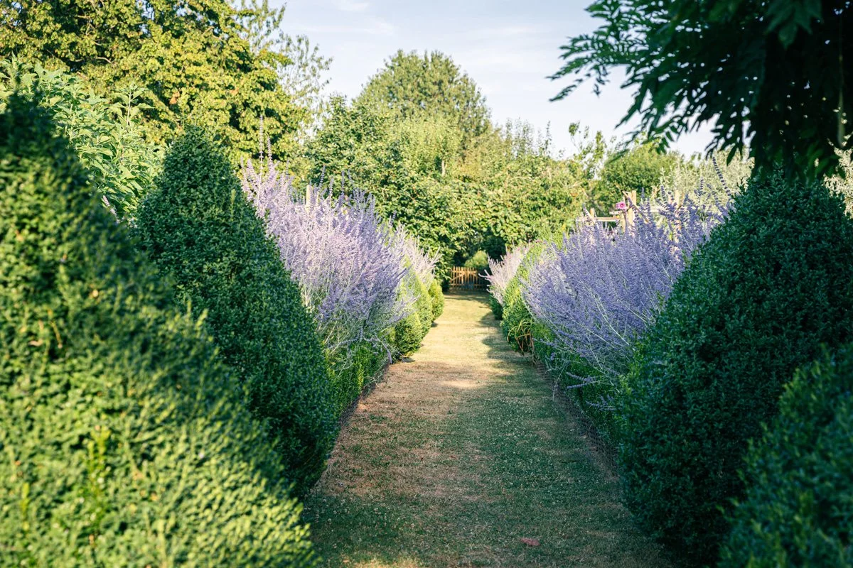 lavande-montperthuis-photographe-jardin