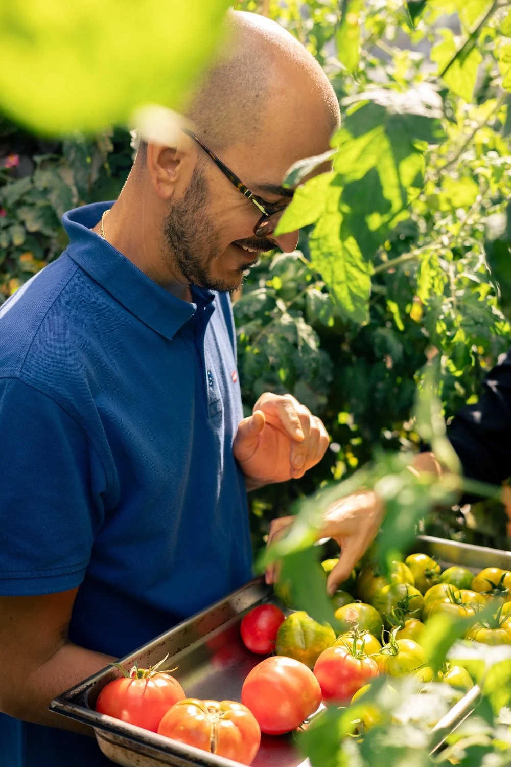 Potager urbain Hôtel Pullman Montparnasse