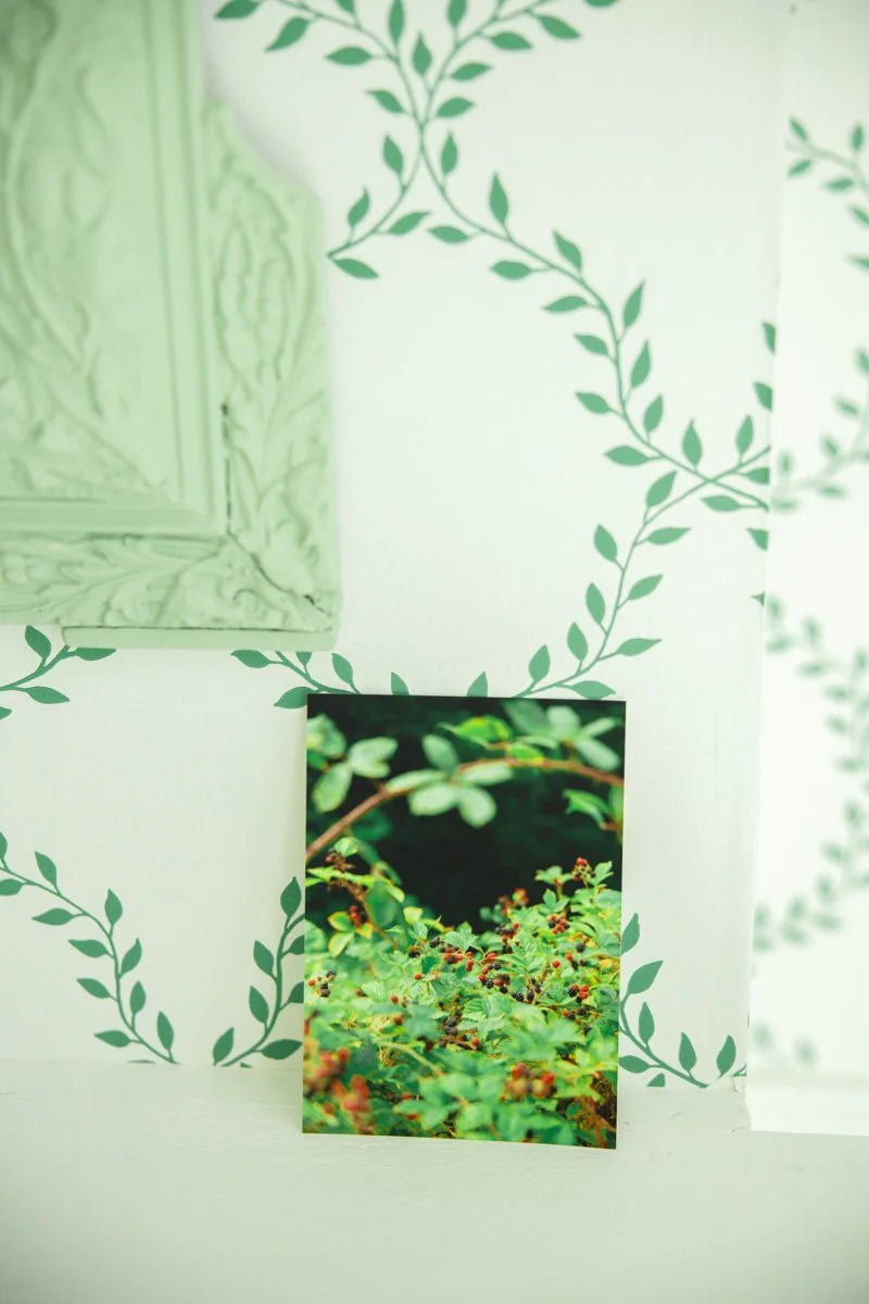 2604_photos lot CP © Eléonore Wallet -4.jpg