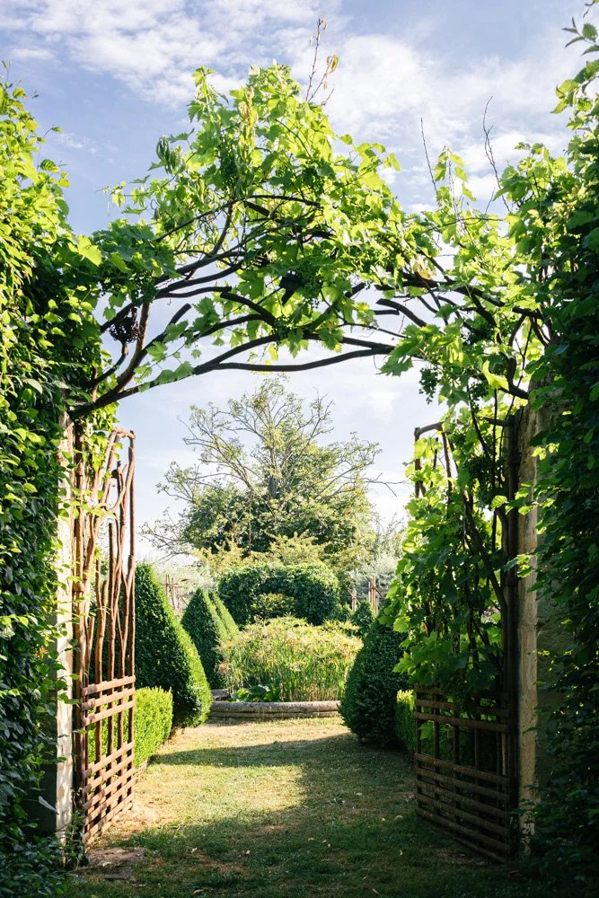 portail-montperthuis-photographe-jardin