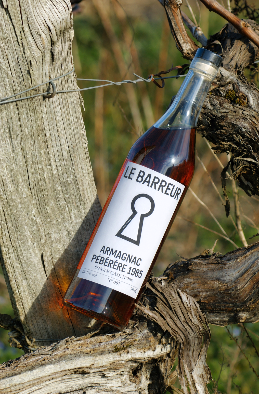 Bouteille Réelle Pébérère 1985 penchée.png