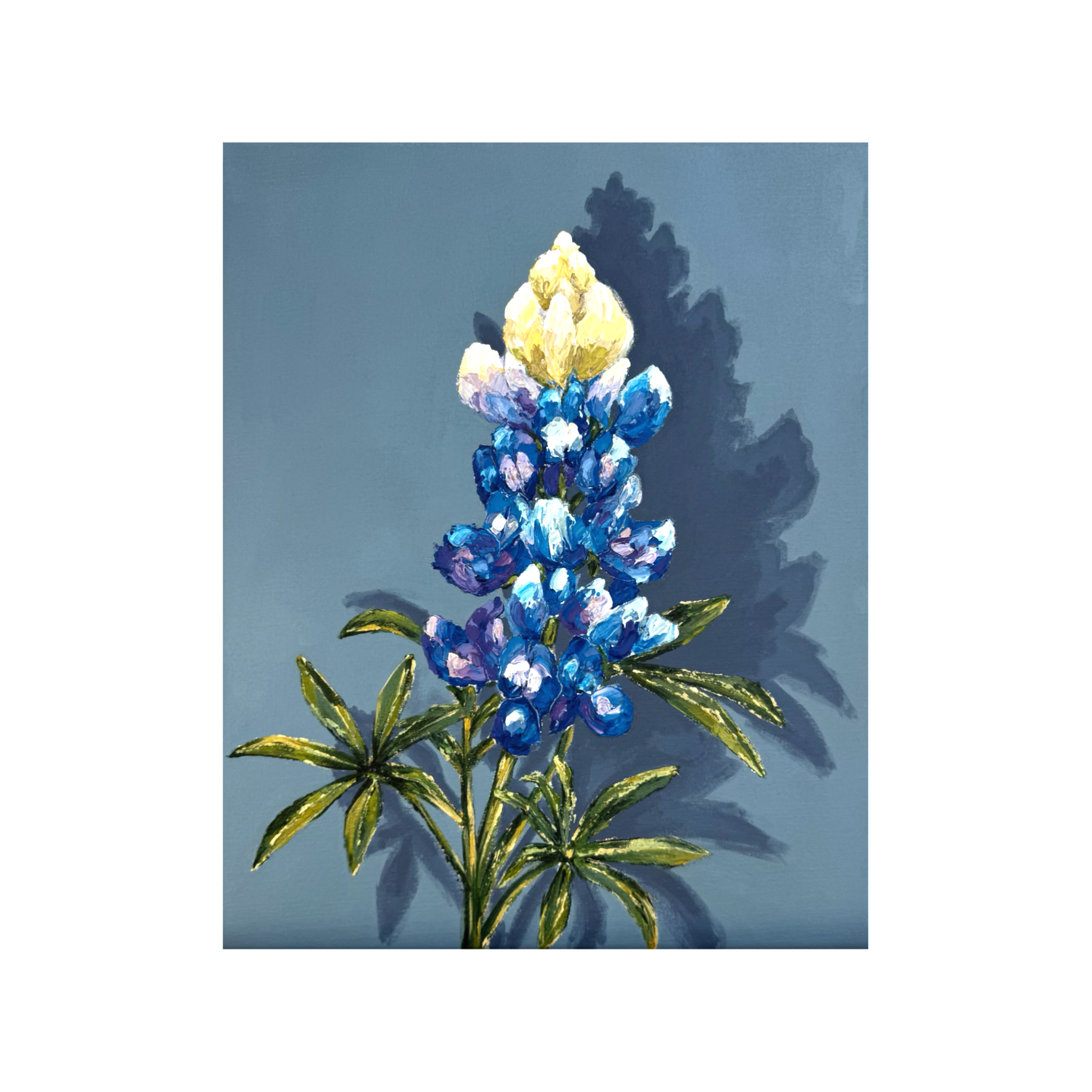 IMG_3247.PNG