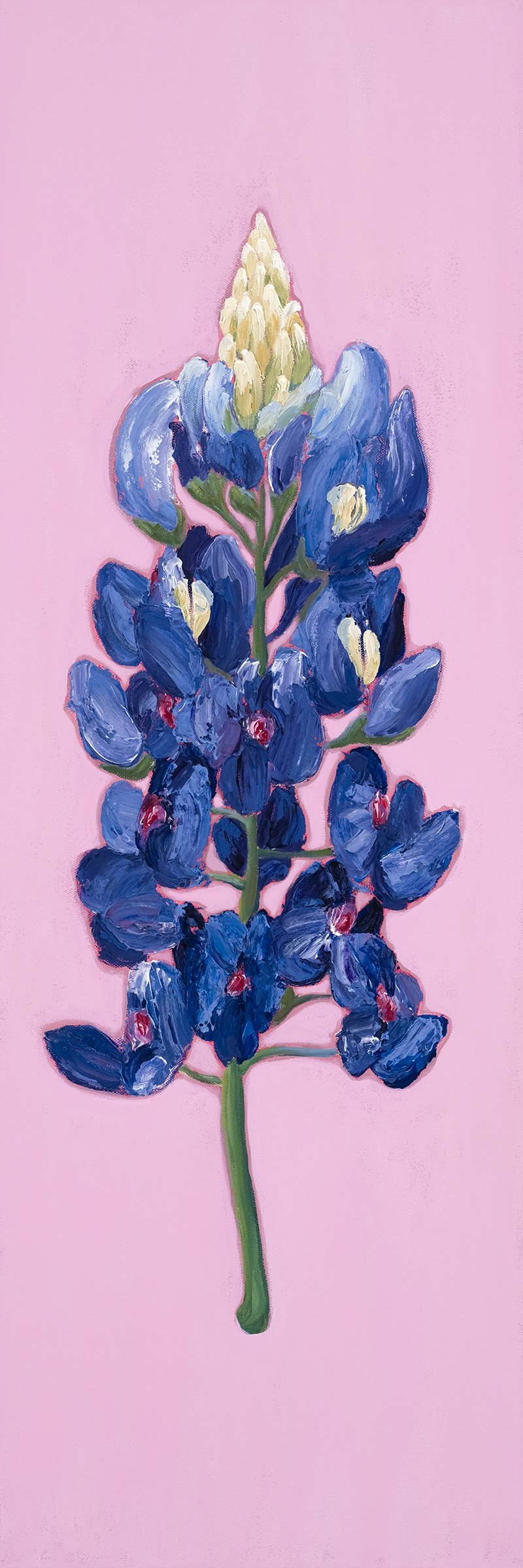 Bluebonnet_Aly_Modleski_Fine_Art_Austin_RESIZED.jpg