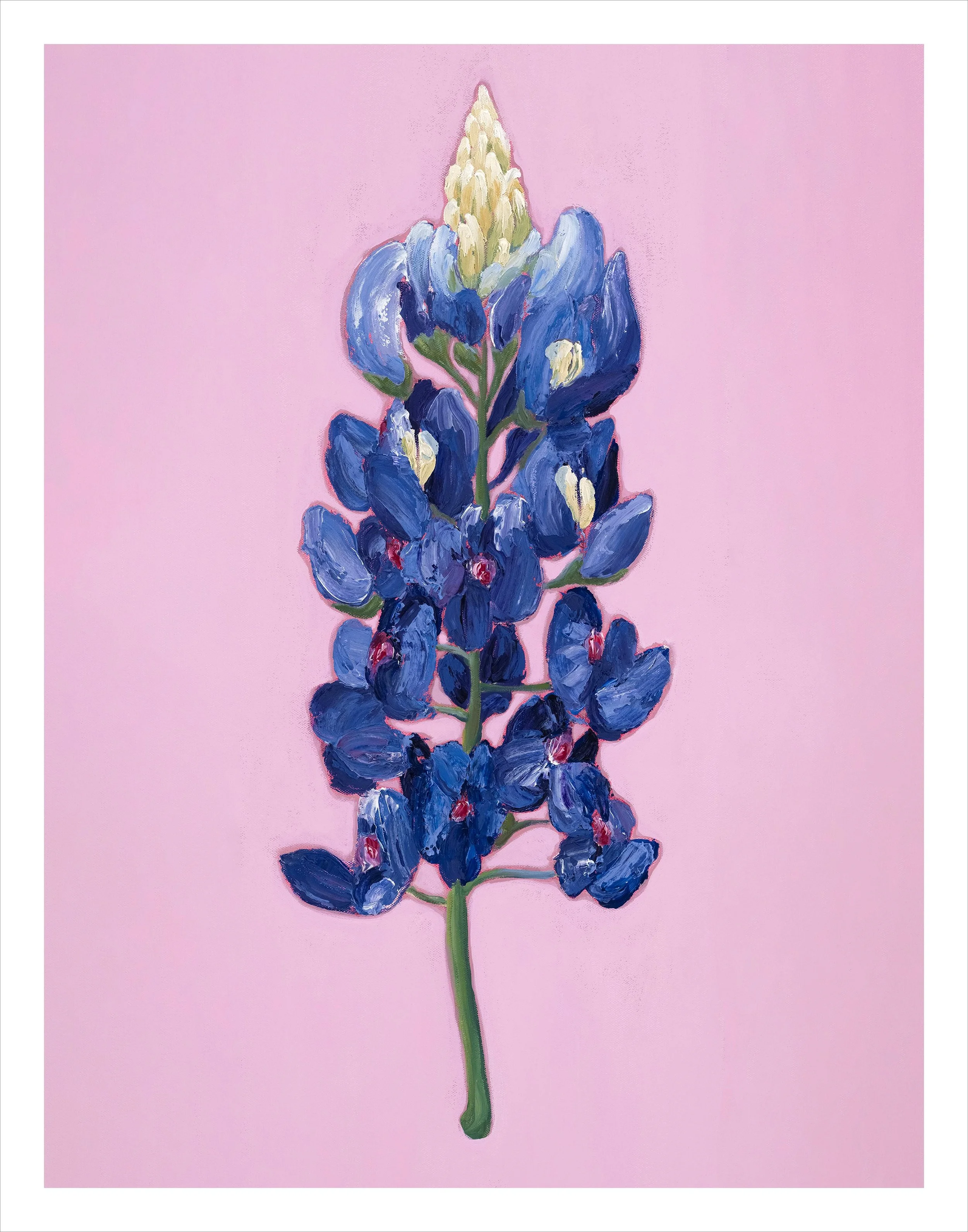 ONLY_HERE_FOR_A_LITTLE_WHILE_ Aly_Modleski_11x14.jpg