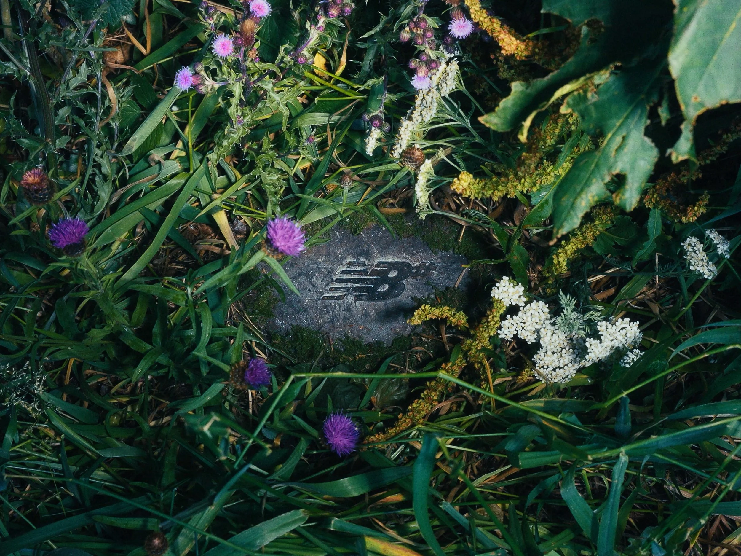 Prop rock for New Balance Numeric commercial