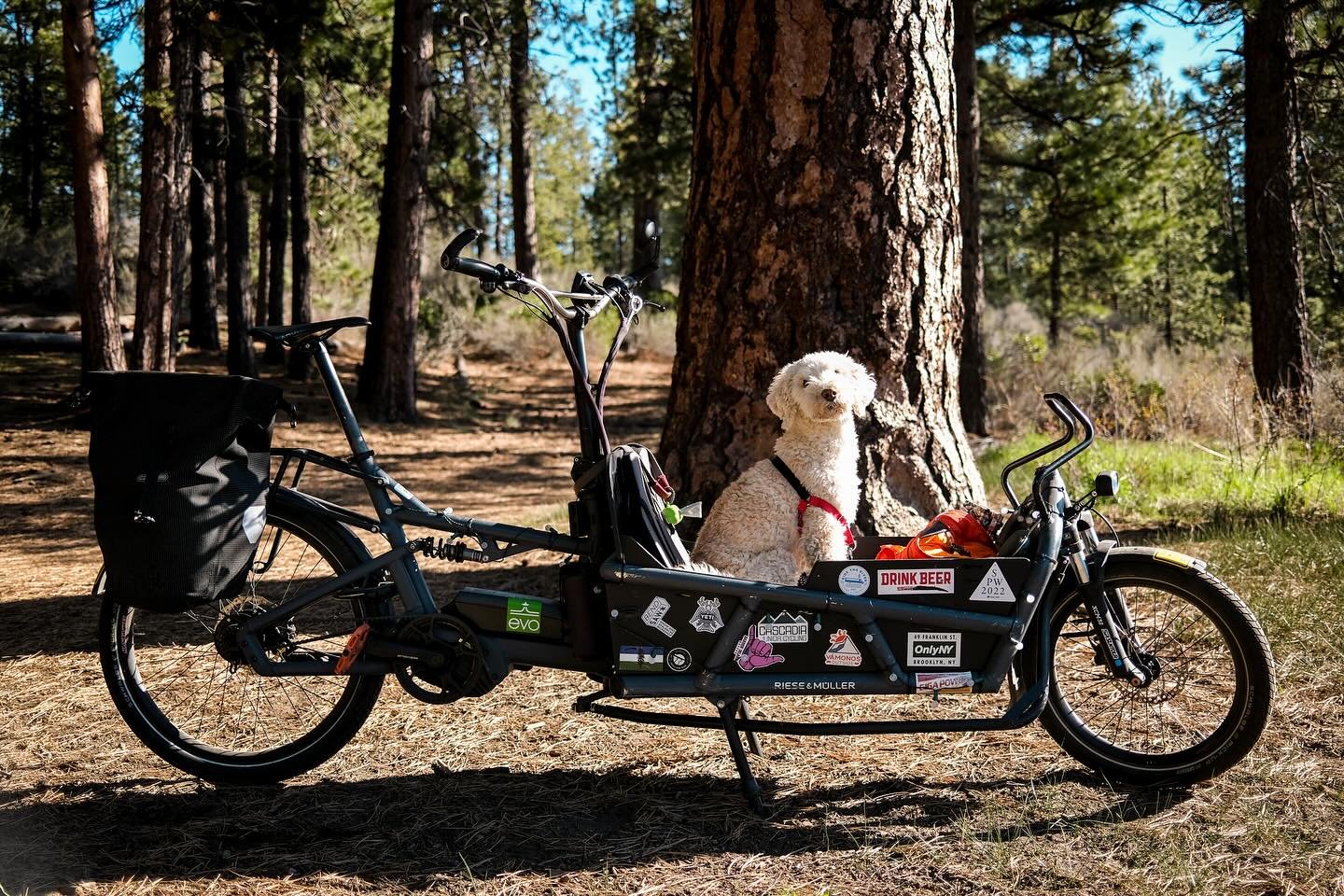 Great start to a Friday, thanks for the coffee @hushhushcoffee 

#coffeeoutside #bendoregon #community #dogs #springtime