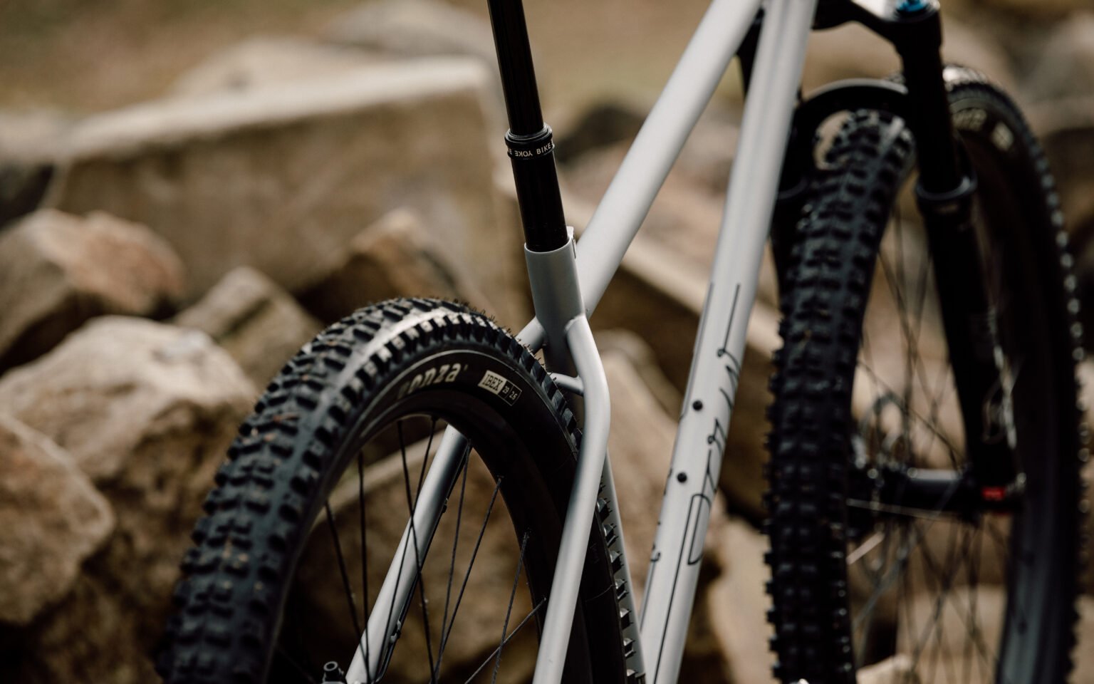 MG_2429-1-1536x960.jpeg