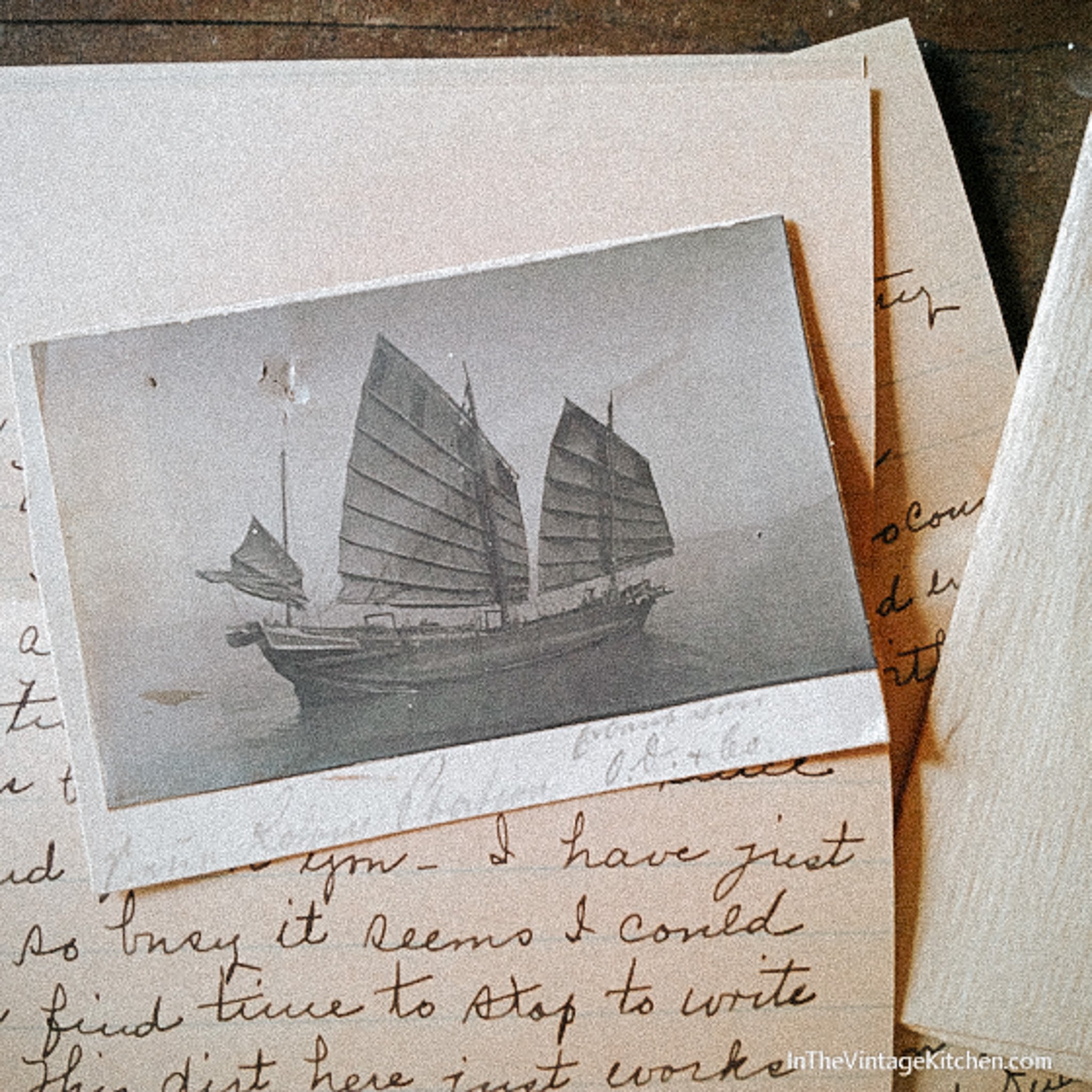 FIELD NOTES.jpg