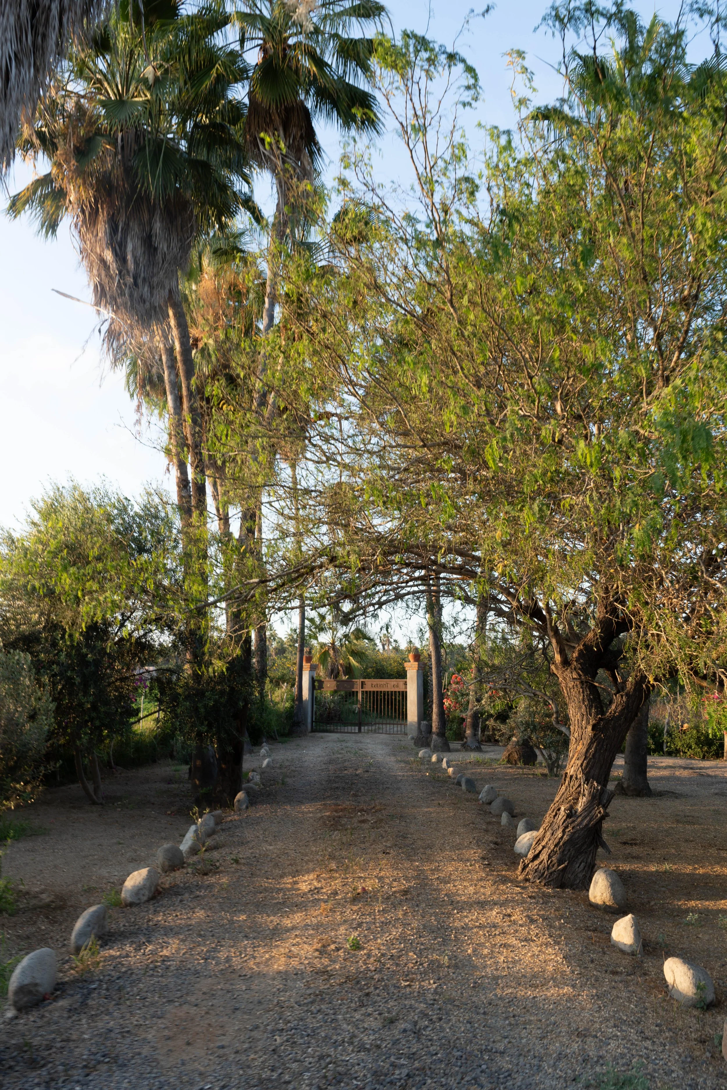 2026_03 RANCHO TRINIDAD -00503 (1).jpg