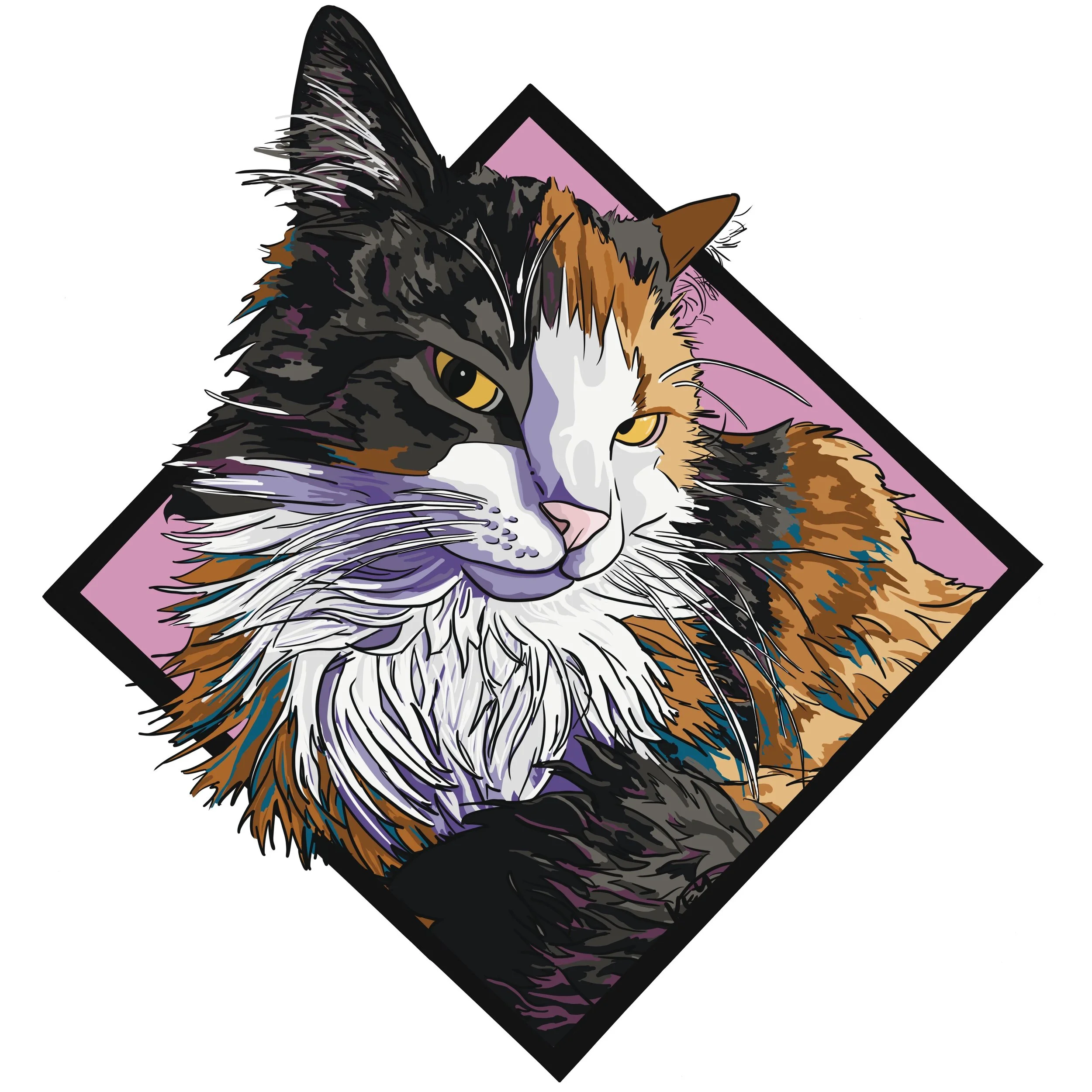 Gizmo