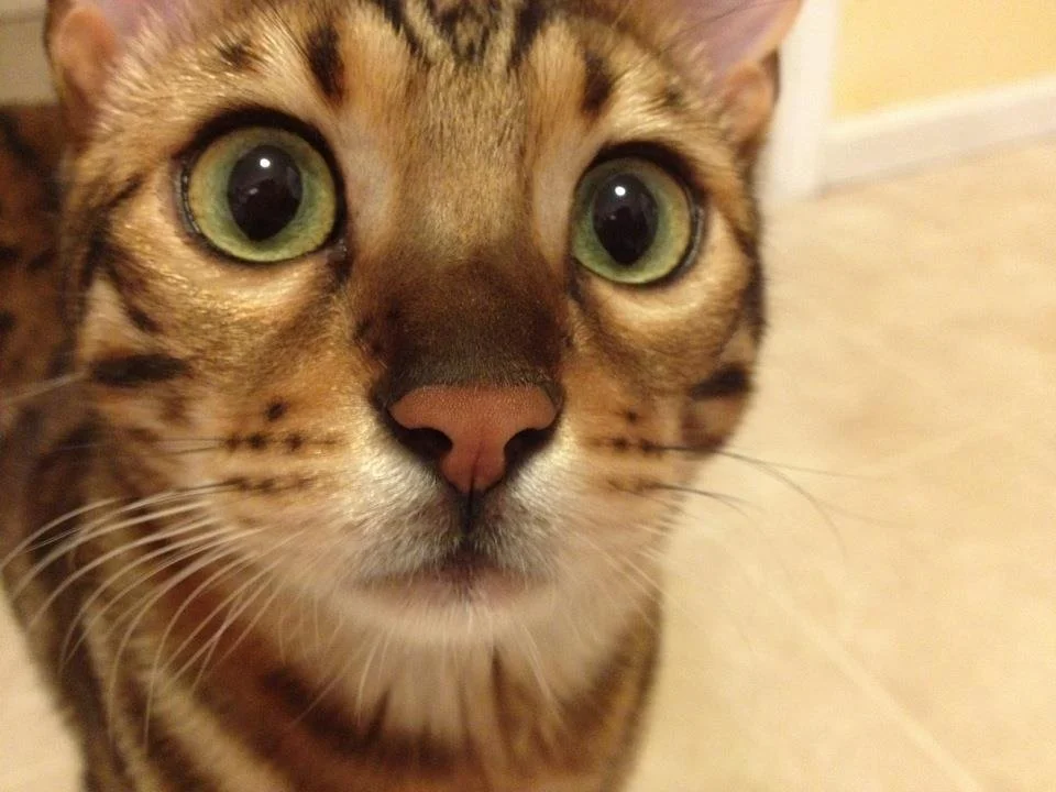 Zero - Source Picture